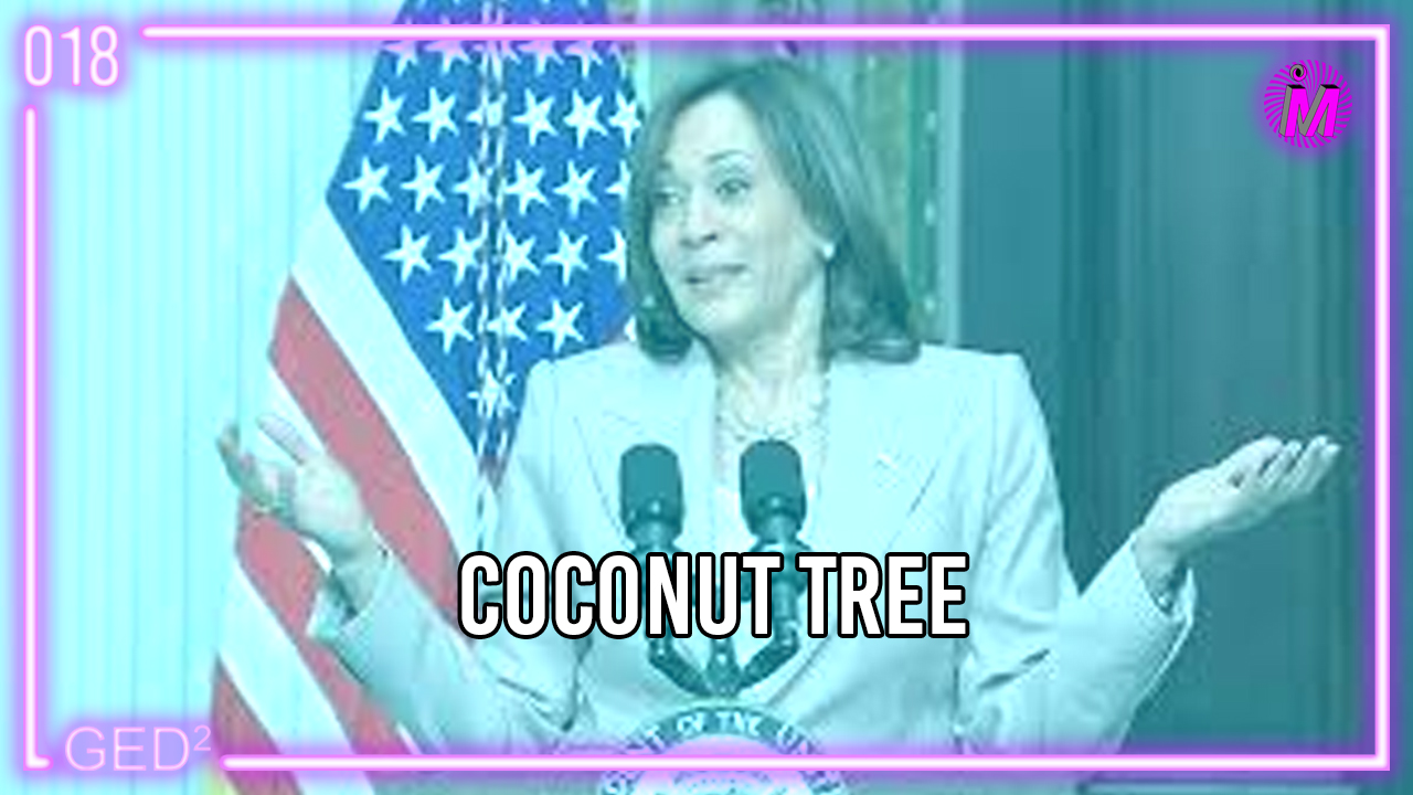 018 – Coconut Tree